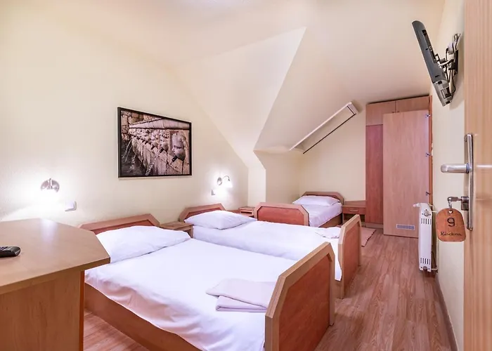 Kisduna Etterem-panzio 住宿加早餐酒店 3*